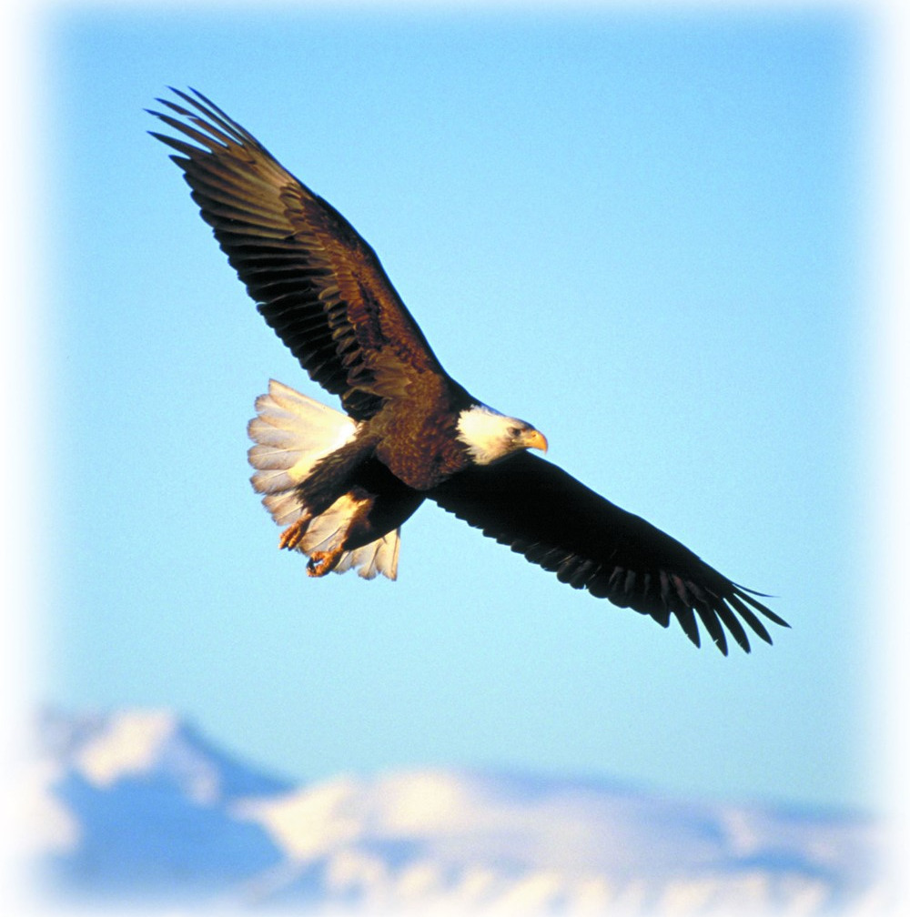 Spiritual Explorers Lounge